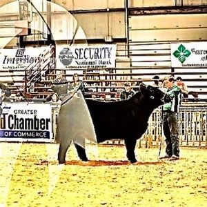 Meet your Posher, Justin